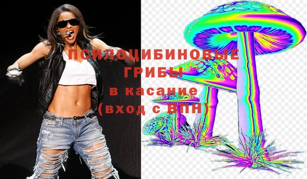 стафф Беломорск