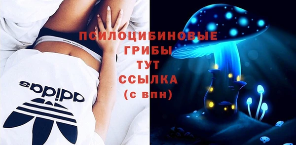 прущий лед Белокуриха
