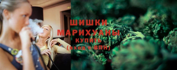 ПСИЛОЦИБИНОВЫЕ ГРИБЫ Баксан
