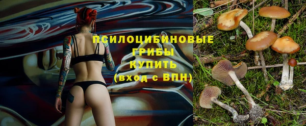 прущий лед Белокуриха