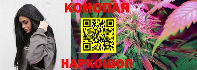 сатива Волгодонск