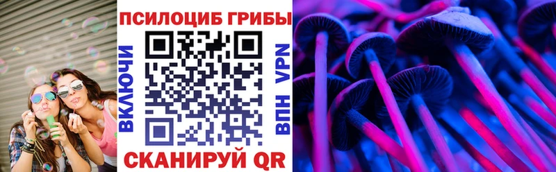 Галлюциногенные грибы MAGIC MUSHROOMS  где можно купить   Калуга 
