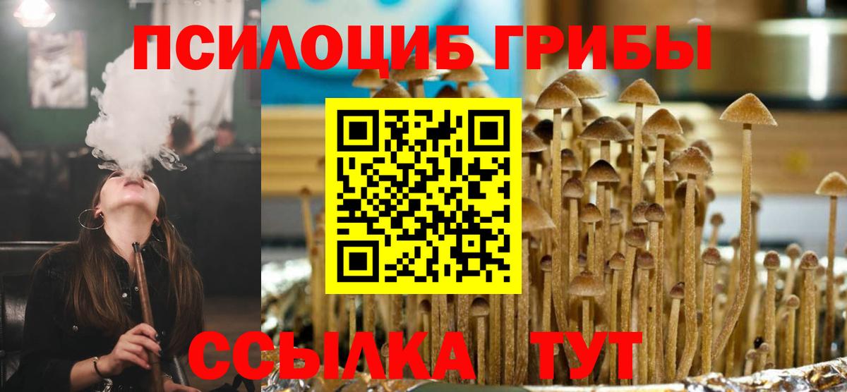 Галлюциногенные грибы прущие грибы Калуга