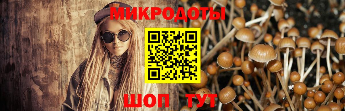 Калуга  Псилоцибиновые грибы Psilocybe  Вход с VPN 